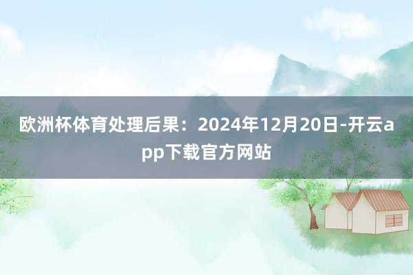 欧洲杯体育处理后果：2024年12月20日-开云app下载官方网站
