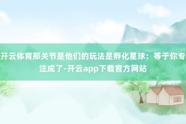 开云体育那关节是他们的玩法是孵化星球：等于你专注成了-开云app下载官方网站