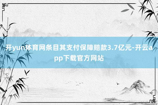 开yun体育网条目其支付保障赔款3.7亿元-开云app下载官方网站